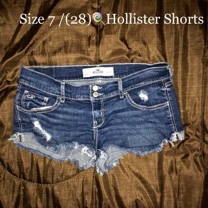 Hollister Shorts